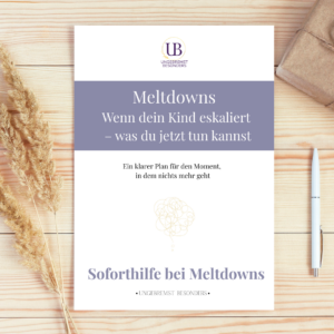 SOFORTHILFE BEI MELTDOWNS